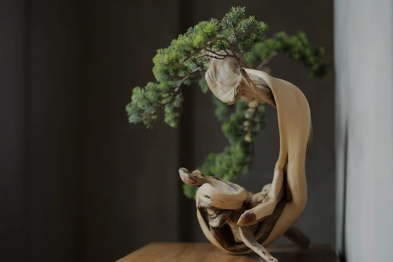 Bespoke Discovery | Bonsai in Japanese: Meaning, Origin and Why